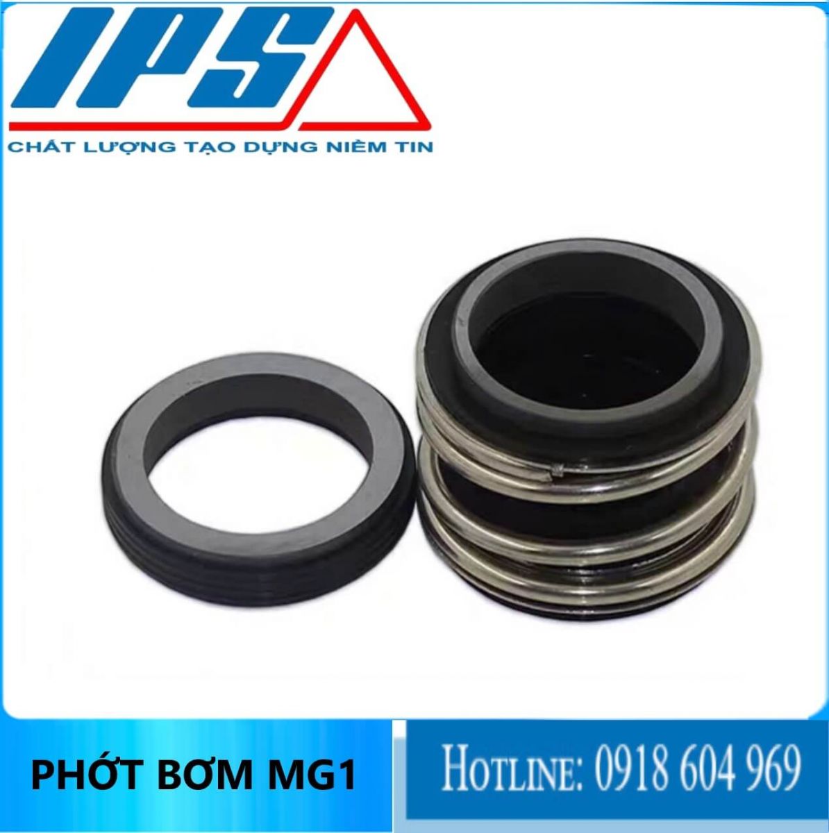 Phớt MG1-11(2)